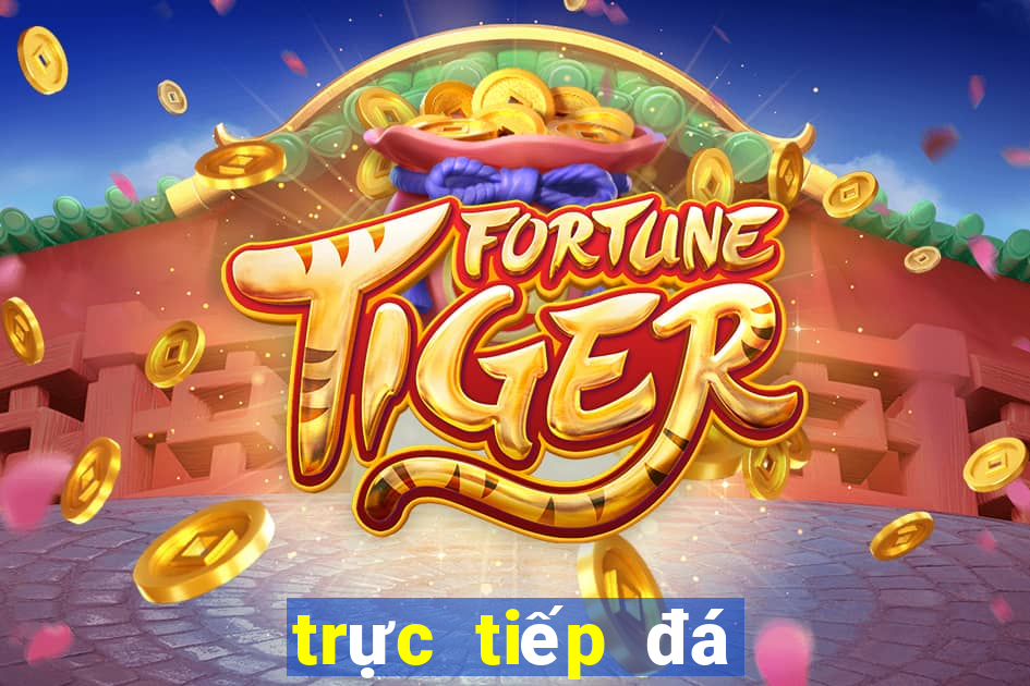 trực tiếp đá gà casino 999