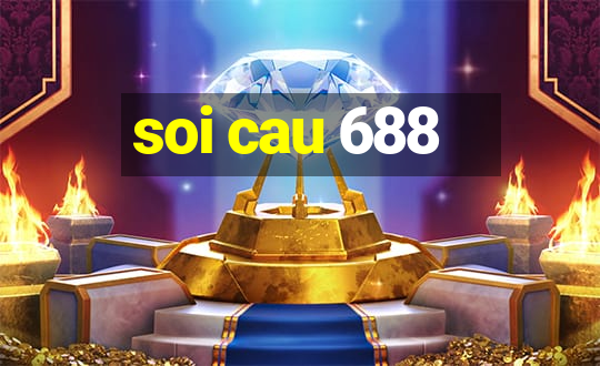 soi cau 688