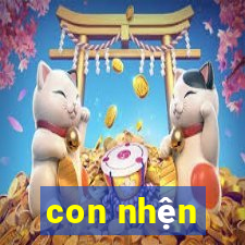 con nhện