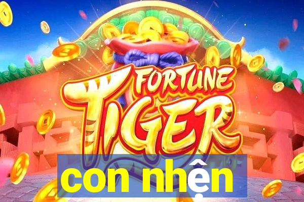 con nhện