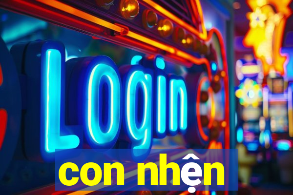 con nhện