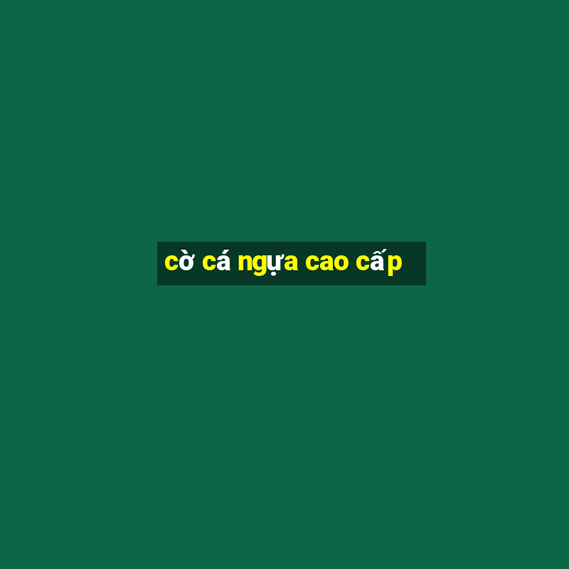 cờ cá ngựa cao cấp