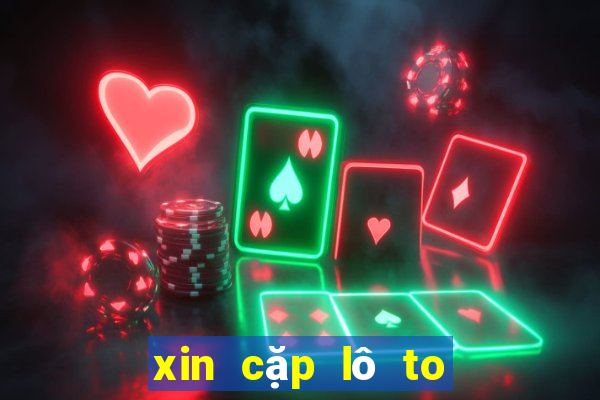 xin cặp lô to xổ số cần thơ