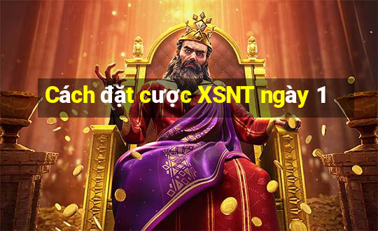 Cách đặt cược XSNT ngày 1