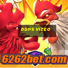 ddns vizeo