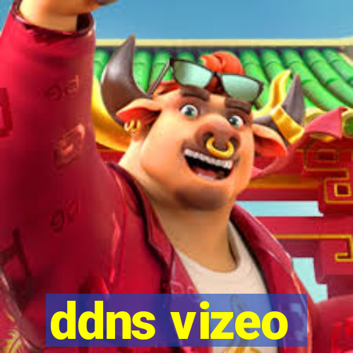 ddns vizeo