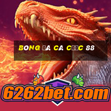 bóng đá cá cược 88