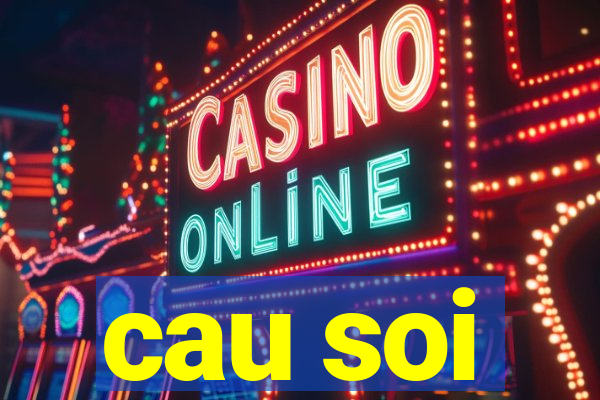 cau soi