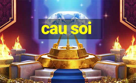 cau soi