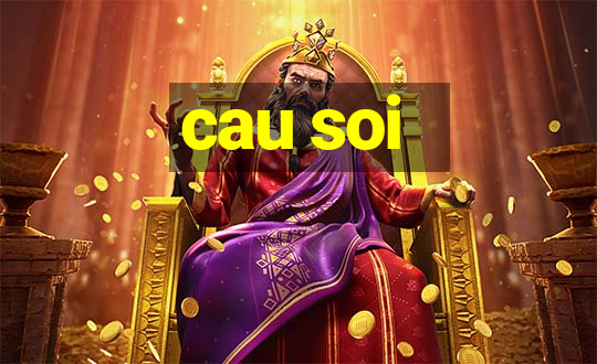 cau soi