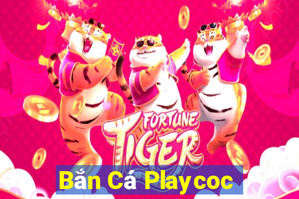 Bắn Cá Playcoc