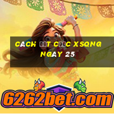 Cách đặt cược XSQNG ngày 25