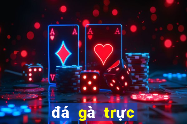 đá gà trực tiếp trường 67