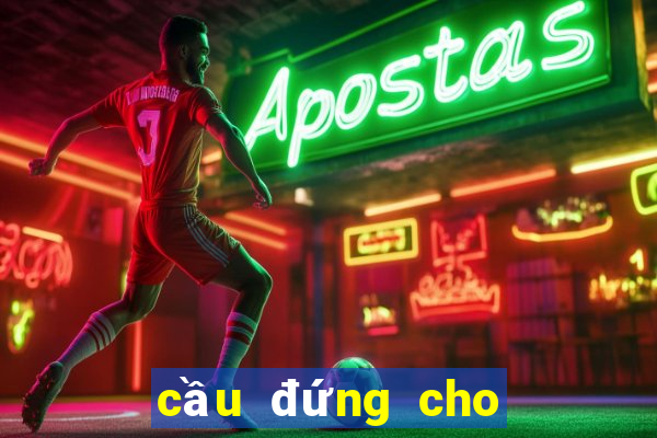 cầu đứng cho gà tre