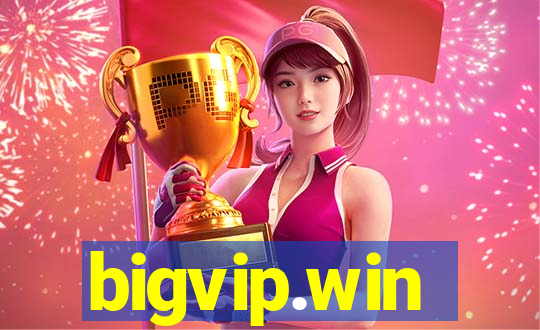 bigvip.win