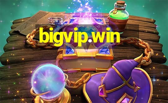 bigvip.win