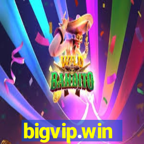 bigvip.win