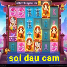 soi dau cam