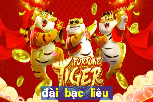 đài bạc liêu hôm nay