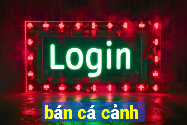 bán cá cảnh