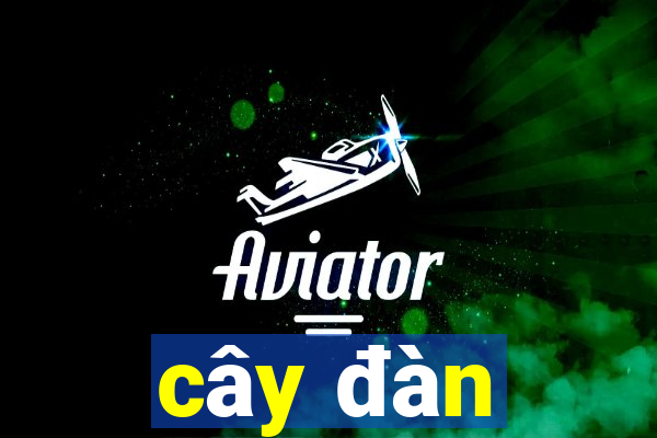 cây đàn