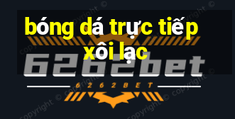 bóng dá trực tiếp xôi lạc