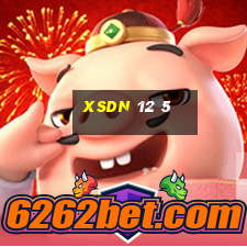 xsdn 12 5