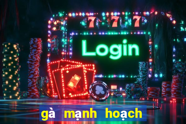 gà mạnh hoạch linh đàm