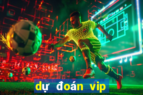 dự đoán vip miền bắc