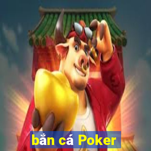 bắn cá Poker