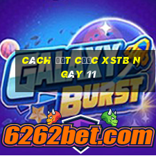 Cách đặt cược XSTB ngày 11