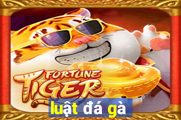 luật đá gà