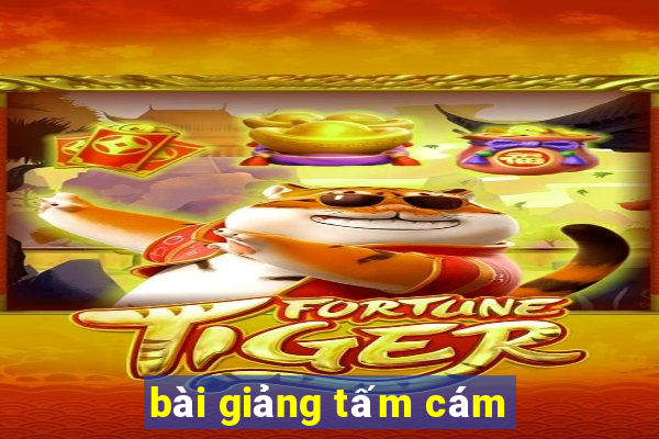 bài giảng tấm cám