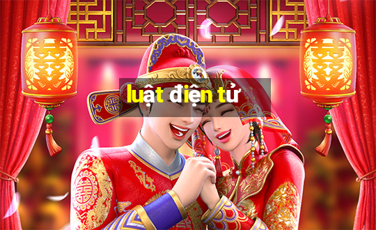 luật điện tử