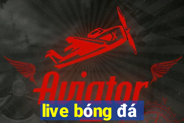 live bóng đá