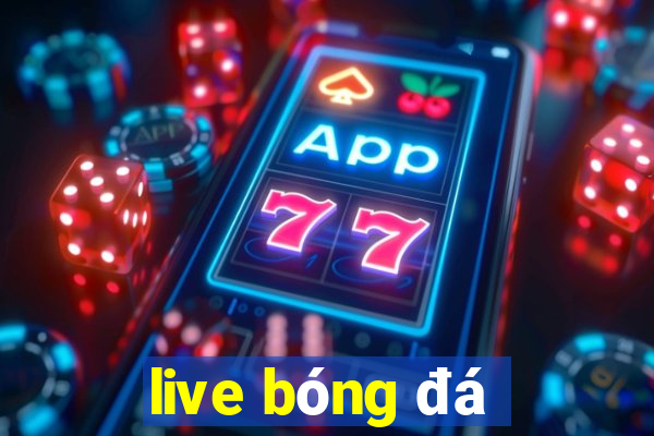 live bóng đá