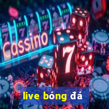 live bóng đá