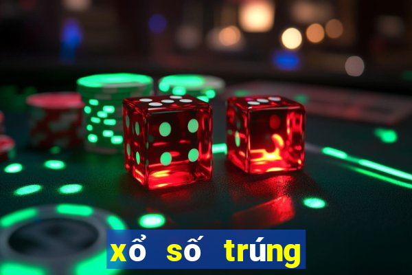 xổ số trúng net vn 24h