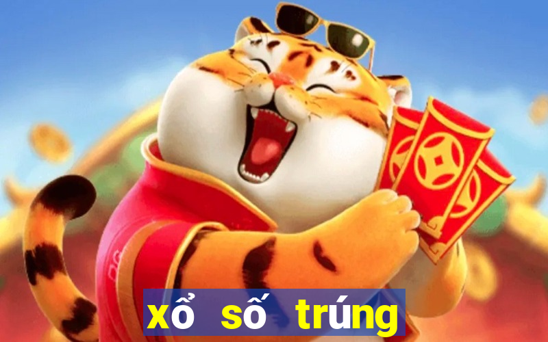 xổ số trúng net vn 24h