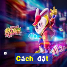 Cách đặt cược XSKT ngày 1