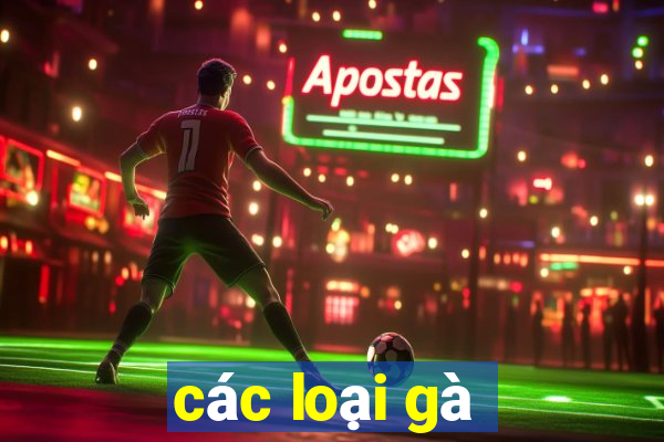 các loại gà