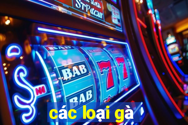 các loại gà