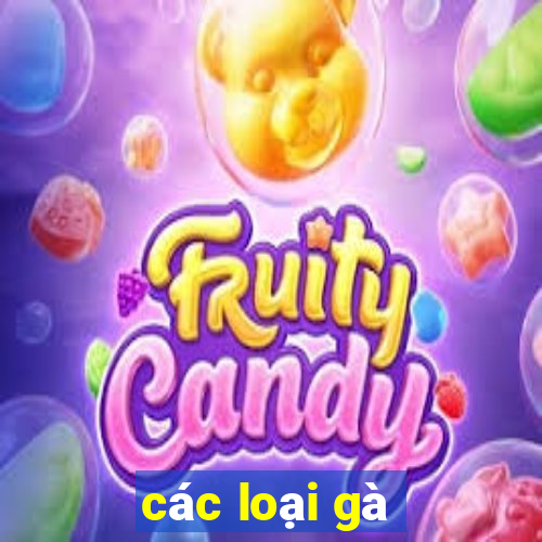 các loại gà