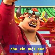 cho xin một con số đề