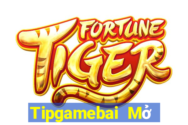 Tipgamebai Mở Trò Chơi Ô Tô