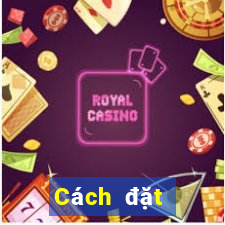 Cách đặt cược XSKT ngày 8