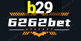 b29