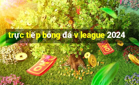 trực tiếp bóng đá v league 2024