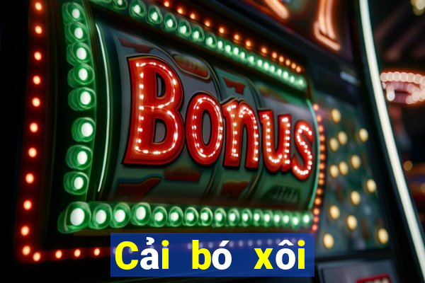 Cải bó xôi giao bắp cải 2021