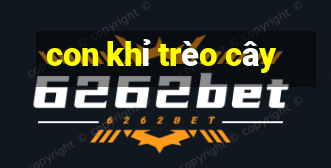 con khỉ trèo cây